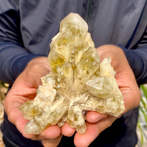 228g natural citrine - citrine, pineapple